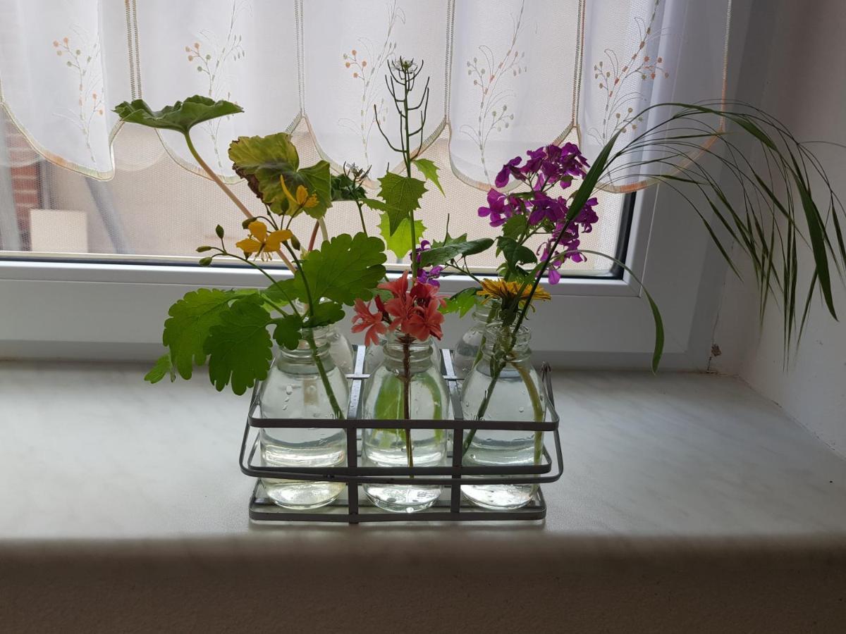 Ferienwohnung Burgenblick 탈레 외부 사진