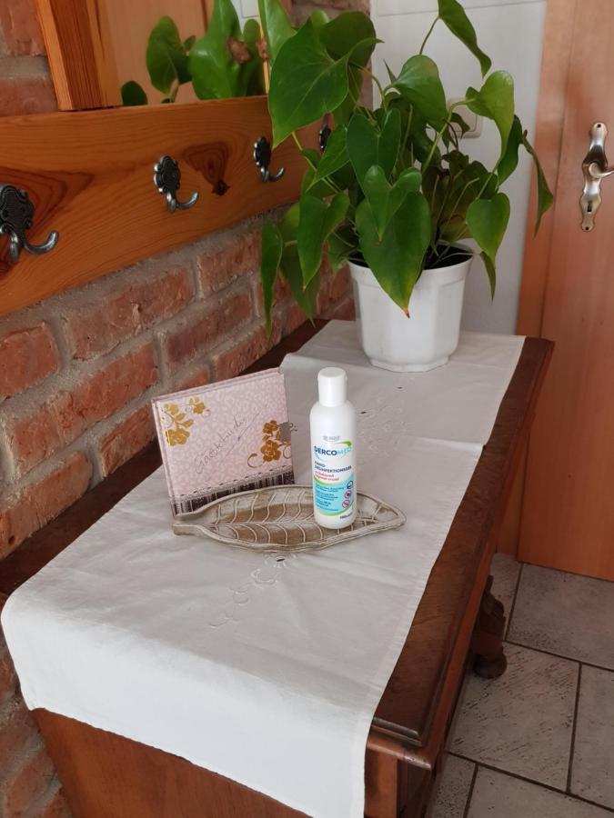 Ferienwohnung Burgenblick 탈레 외부 사진